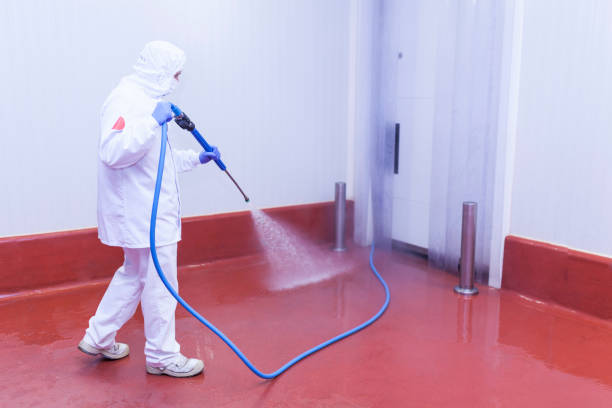 Best Oil Spill Cleanup  in Lely Resort, FL