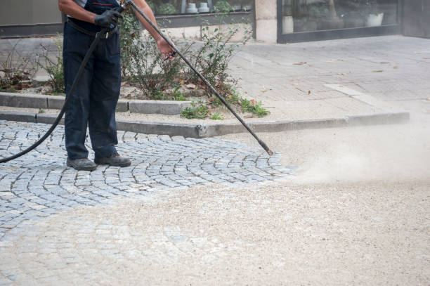 Best Winterizing Services  in Lely Resort, FL